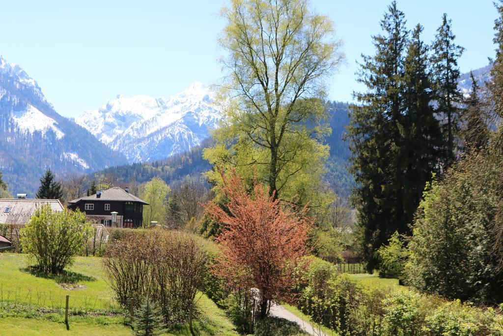 Haus Poeckl Daire Strobl Dış mekan fotoğraf